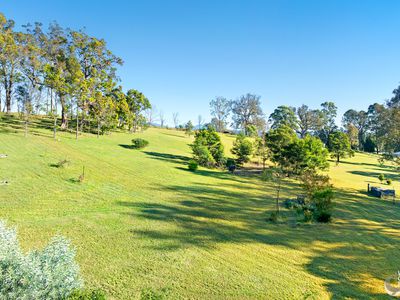 352 Bodalla Park Drive, Bodalla