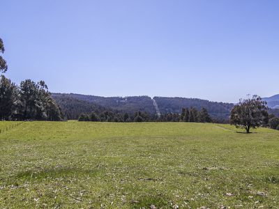 328 Braeside Road, Franklin