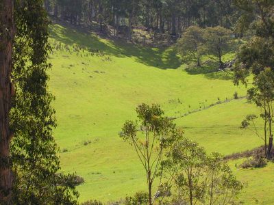 140 Coalmine Road, Gardners Bay
