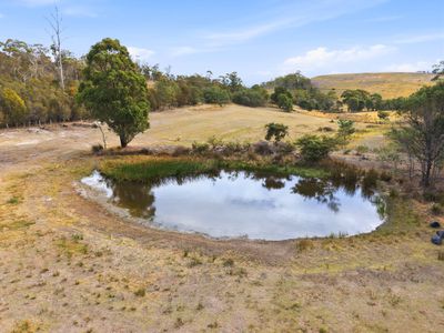 181 White Hill Road, Forcett