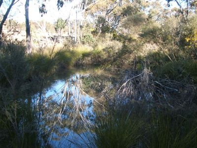 Lot 19 Silent Grove, Torrington