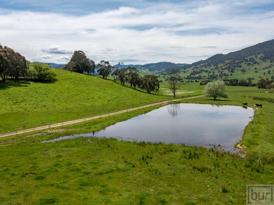 275 Soldier Settlers Road, Tallangatta Valley