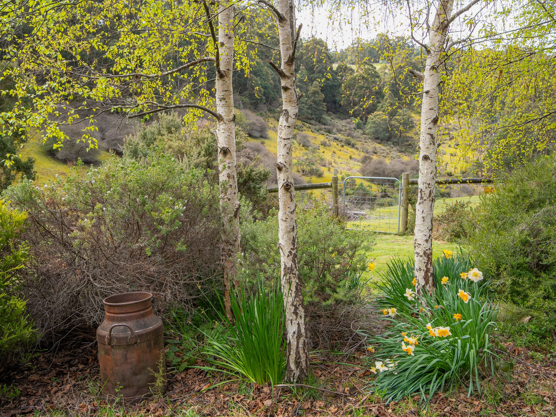190 Cripps Road, Woodbridge