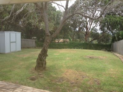 14 First Avenue North Avenue, Warrawong