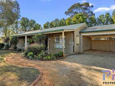 19 Trent Court, Axe Creek