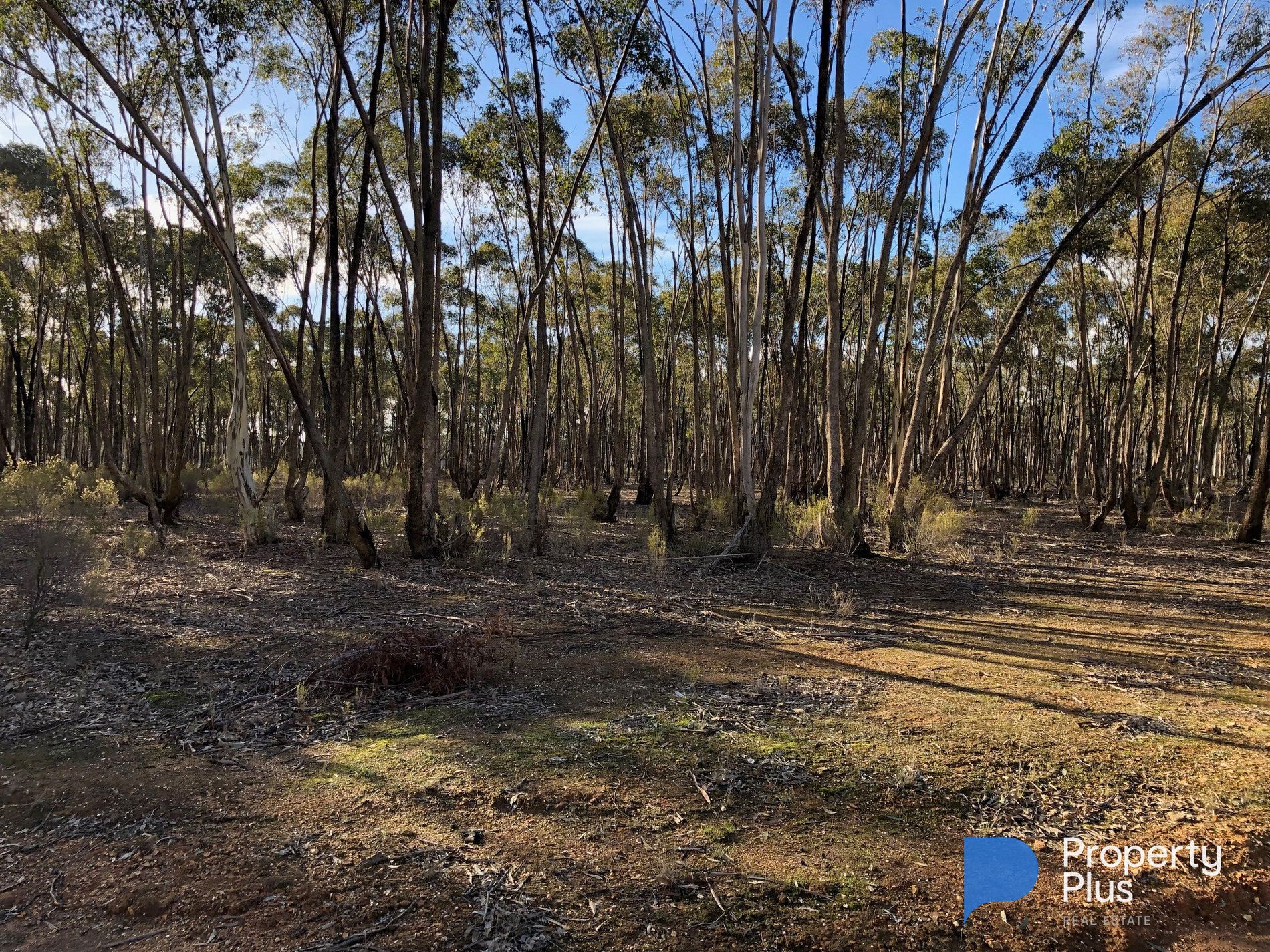 59 Palmer Road, Simson