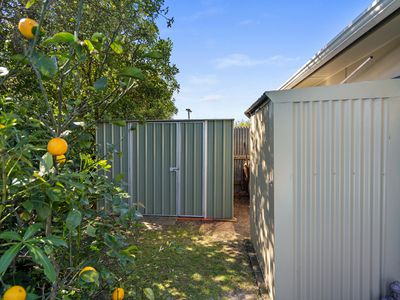 26 Kaka Street, Stoke