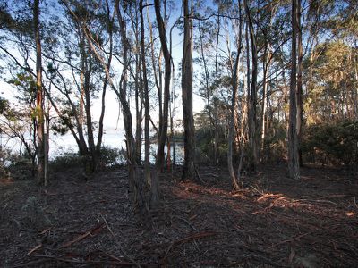 Lot 1, 466 Abels Bay Road, Abels Bay