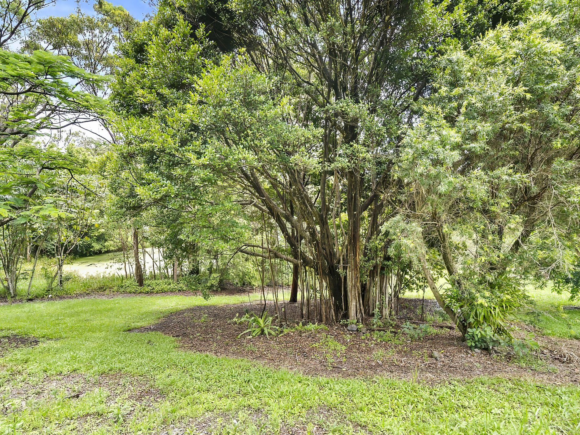 59 Kirra Road, Maroochy River