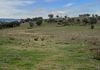 1257 Bundalah Road, Euchareena