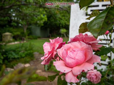 68 Heron Street, Glen Innes