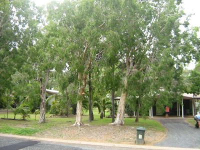 11 Newman Street, Cooktown