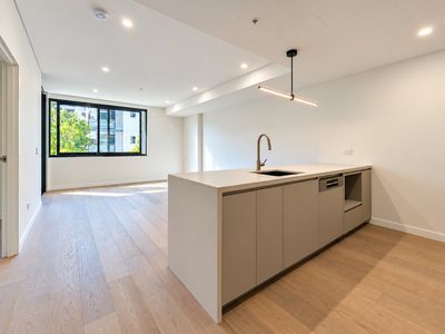 411 / 219-231 Botany Road, Waterloo