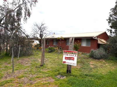 7 Gnowing Street, Wandering