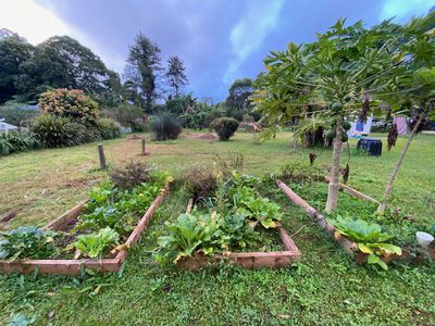 109 Gungas Road, Nimbin