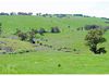 110 Offner Road, Borenore