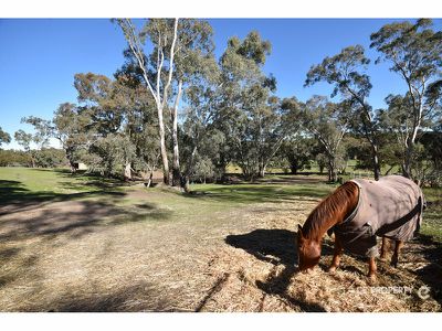 59 Murray Vale Road, Mount Crawford