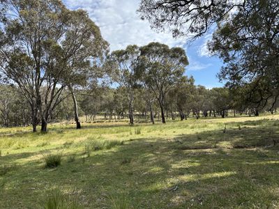 1830 Mount Hope Road, Coolah