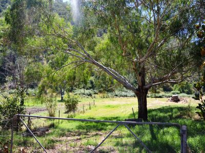 903 Mullagong Road, Mongans Bridge