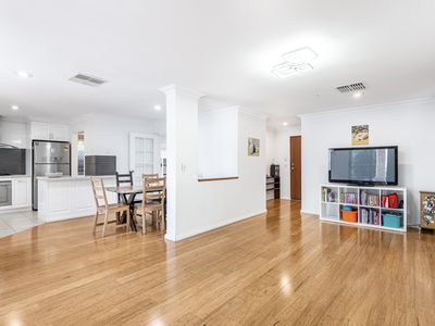 163 Rostrata Avenue, Willetton