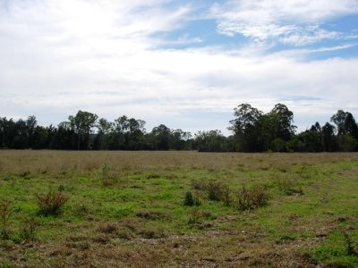 Kandanga Creek
