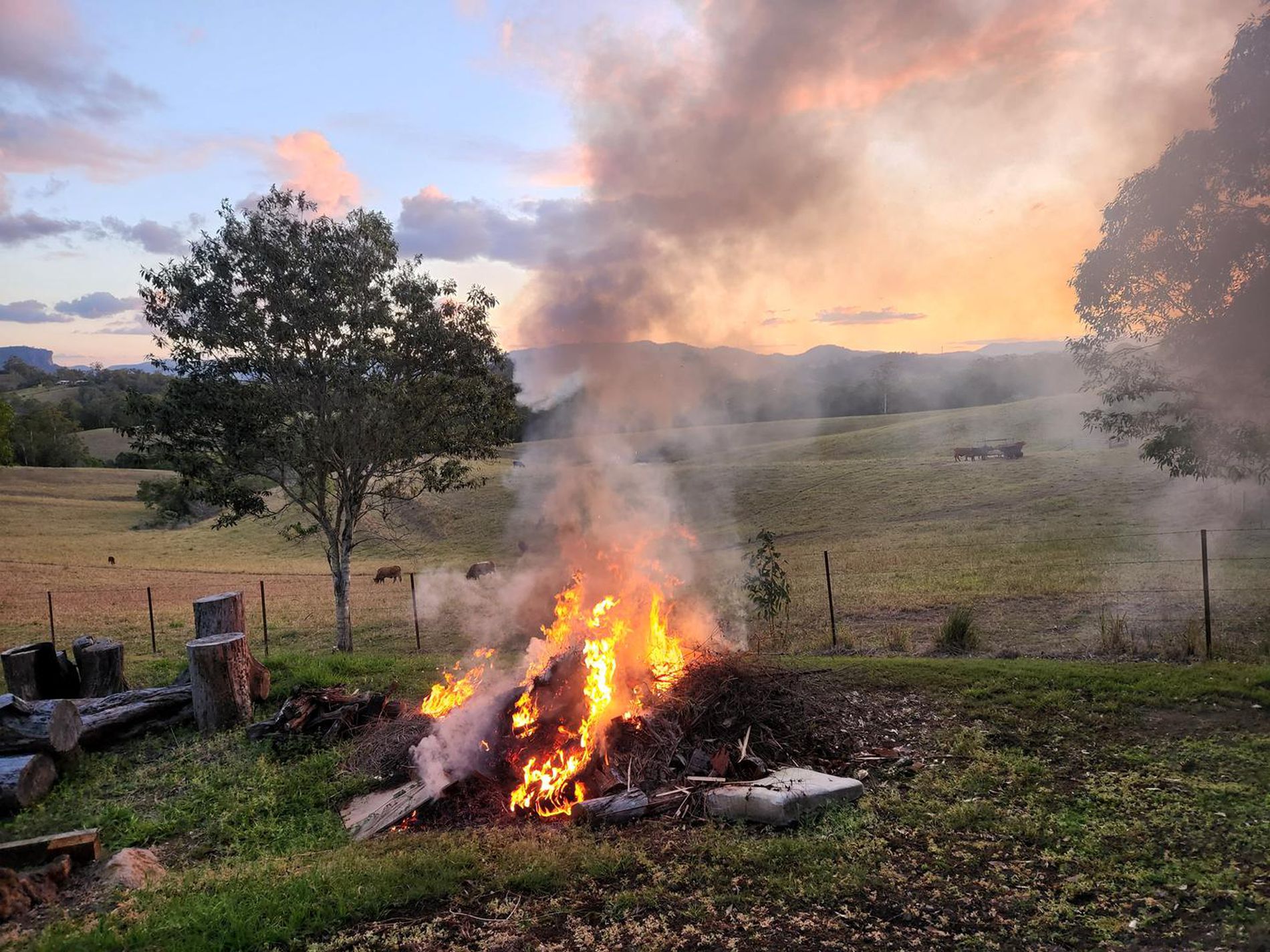 474 Whelan Road, Bollier