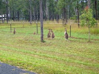 Lot L686, 98 Jacaranda Drive, Ravenshoe