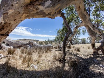 Back Creek Road, Kilmore