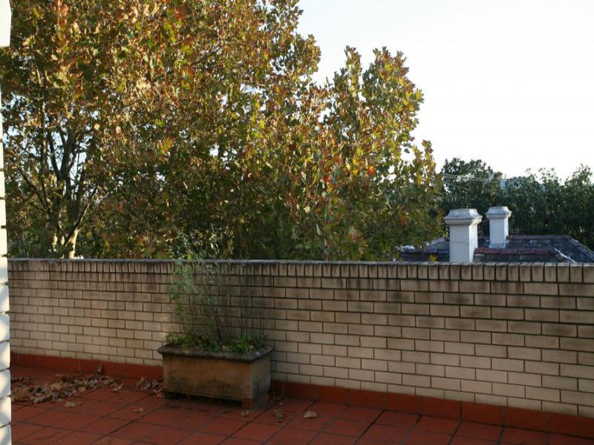 31 / 51 Hereford Street, Glebe