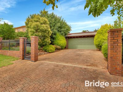 16 John Cleland Drive, Beaumont