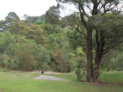 134 Turrella Street, Turrella