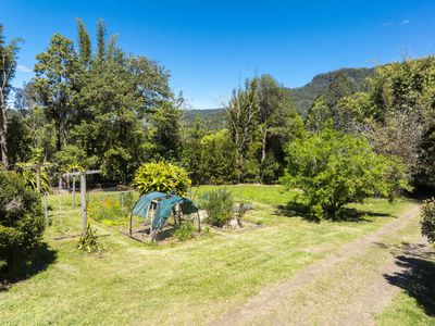 2394 NIMBIN ROAD, Nimbin