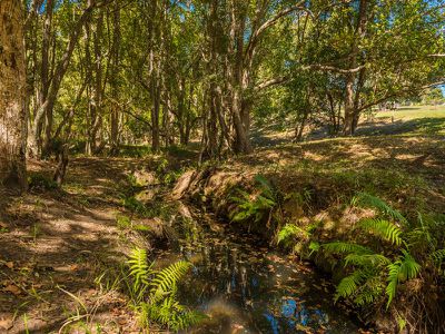 26 Shipway Road, Nimbin
