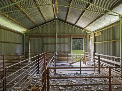 379 Ancona Road, Ancona