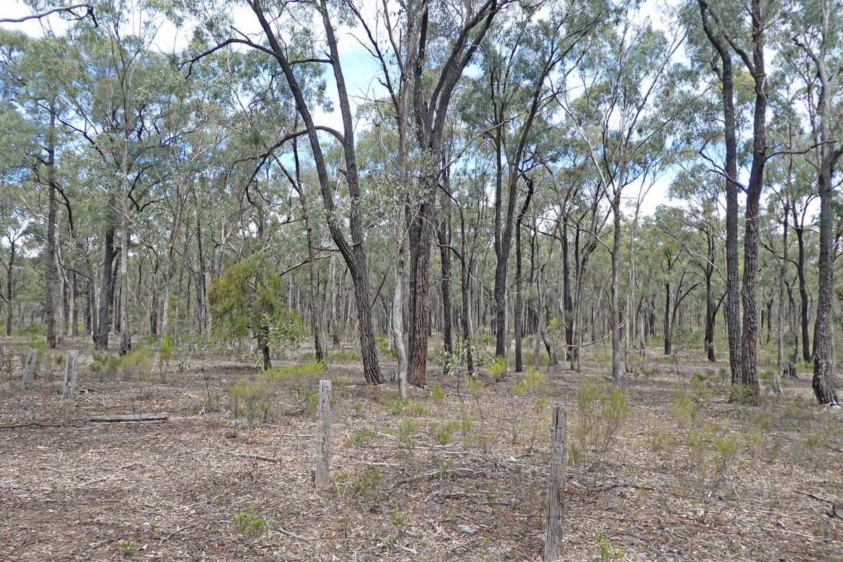 Abikhair Lane, Rushworth