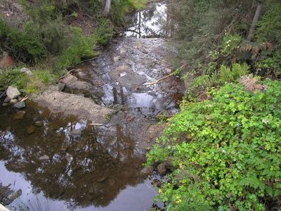 20 Jordan's Road, Mountain River