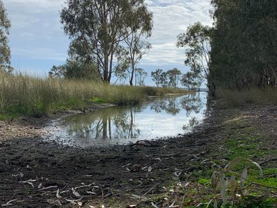 Oil-Tree Lagoon Road, Balldale