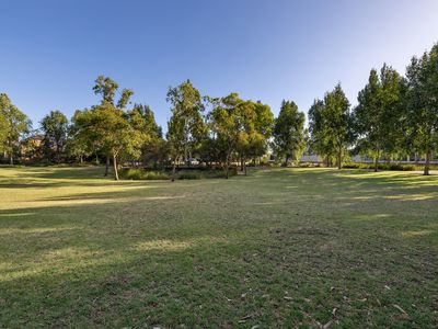 11 Horsham Crescent, Harrisdale