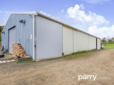 20 Pegema Place, Norwood