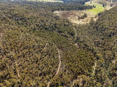1  Part of 160 Sand Marsh Road, Woodsdale