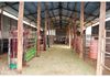 415 Davys Plains Road, Cudal