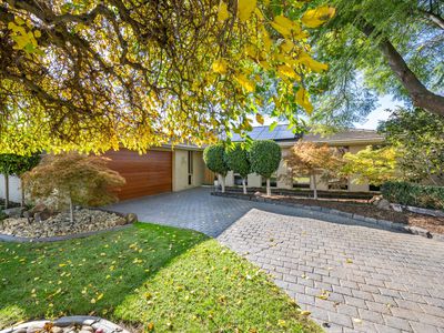 35 Kirsten Street, Shepparton