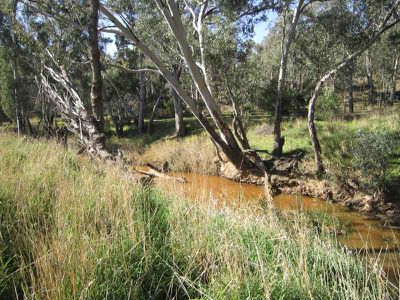 364 Sugarloaf Road, Axedale