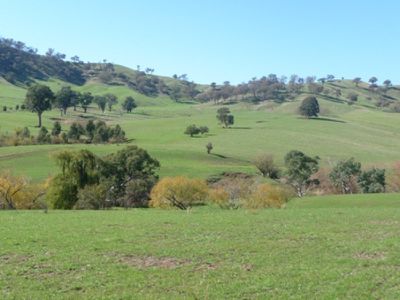 561 Gundowring Road, Gundowring