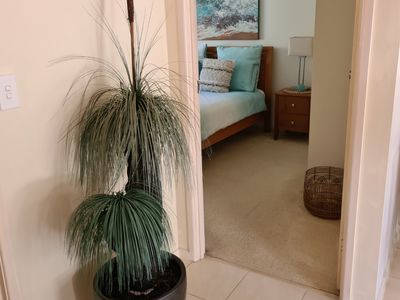 15 / 220 Torquay Terrace, Torquay
