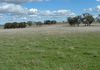 * Finches Road, Molong
