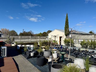 48 - 50 Davenport Street, Millicent