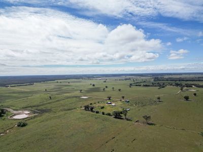 ' Dalmallee' 735 Charcoal Tank Road, West Wyalong