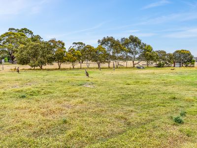 84 BANKSIA ROAD, Millicent