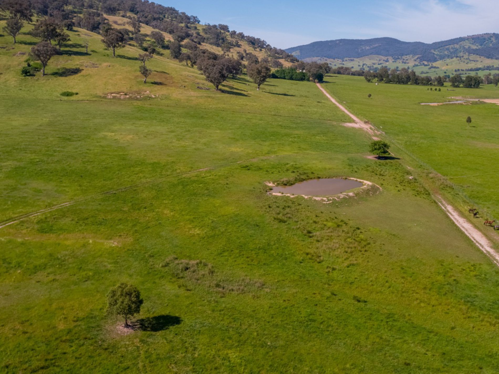 Lot 1, Sec 19, "The Block" Murray Valley Highway, Bullioh